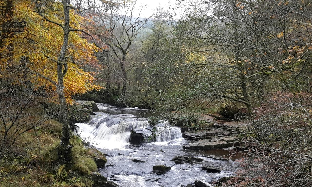 Princetown Cottage Nant-y-bwch المظهر الخارجي الصورة